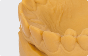 Dental Model Thumb