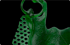 Dental Model Thumb