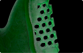 Dental Model Thumb